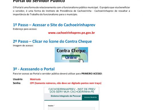 Portal do servidor público como acessar